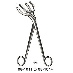 HARRISON BOWL STERILIZER FORCEPS, SCREW JOINT 10 INCHES (25CM)