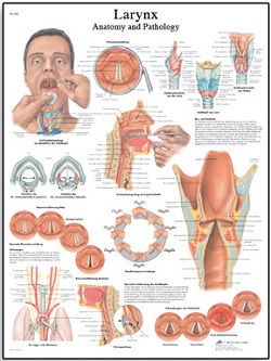 LARYNX