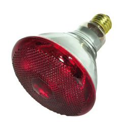 INFRARED RAY BULB