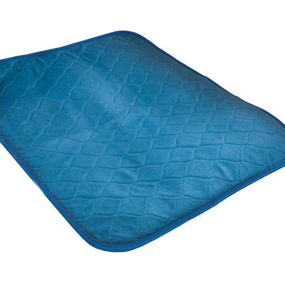 ECONOMY CHAIR PAD - BLUE