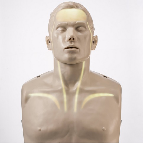 BRAYDEN CPR MANIKIN WITH LED