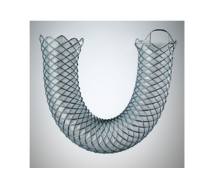 WALLFLEX BILIARY RX STENT