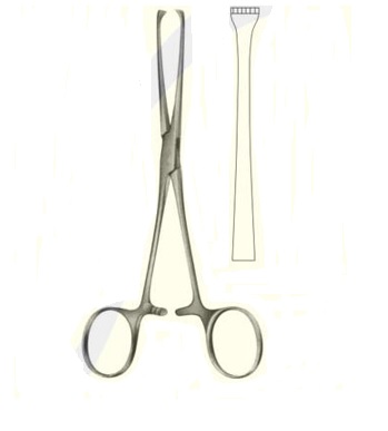 ALLIS TISSUE GRASPING FORCEPS 4 X 5 TEETH - 15.5CM