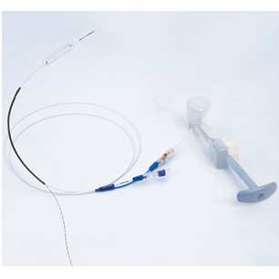 HURRICANE RX BILIARY BALLOON DILATATION CATHETER  