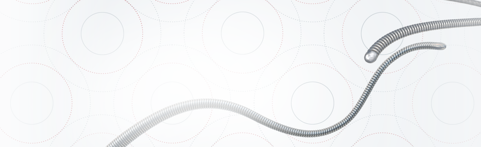 SAMURAI™ GUIDEWIRE