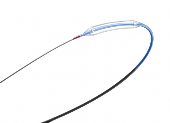 EMERGE MONORAIL DILATATION CATHETER 2.25MM (30MM LENGTH)