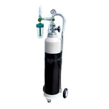 OXYGEN TANK 1.4M3 (10L) WITH OXYGEN REGULATOR PIN INDEX VSY-311 SET