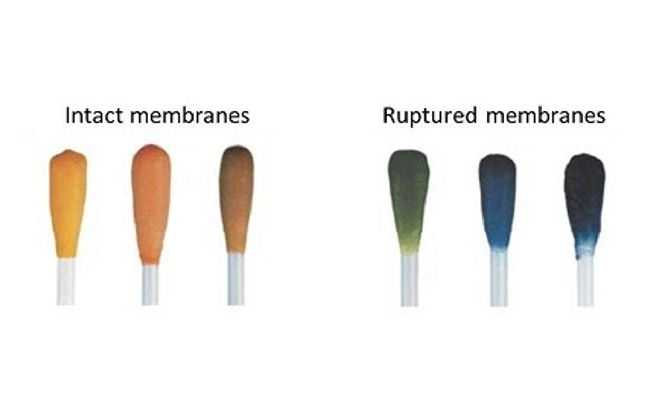MEDICAL WIRE AMNICATOR AMNIOTIC FLUID INDICATOR SWAB